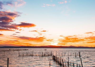 Albufera Valencia