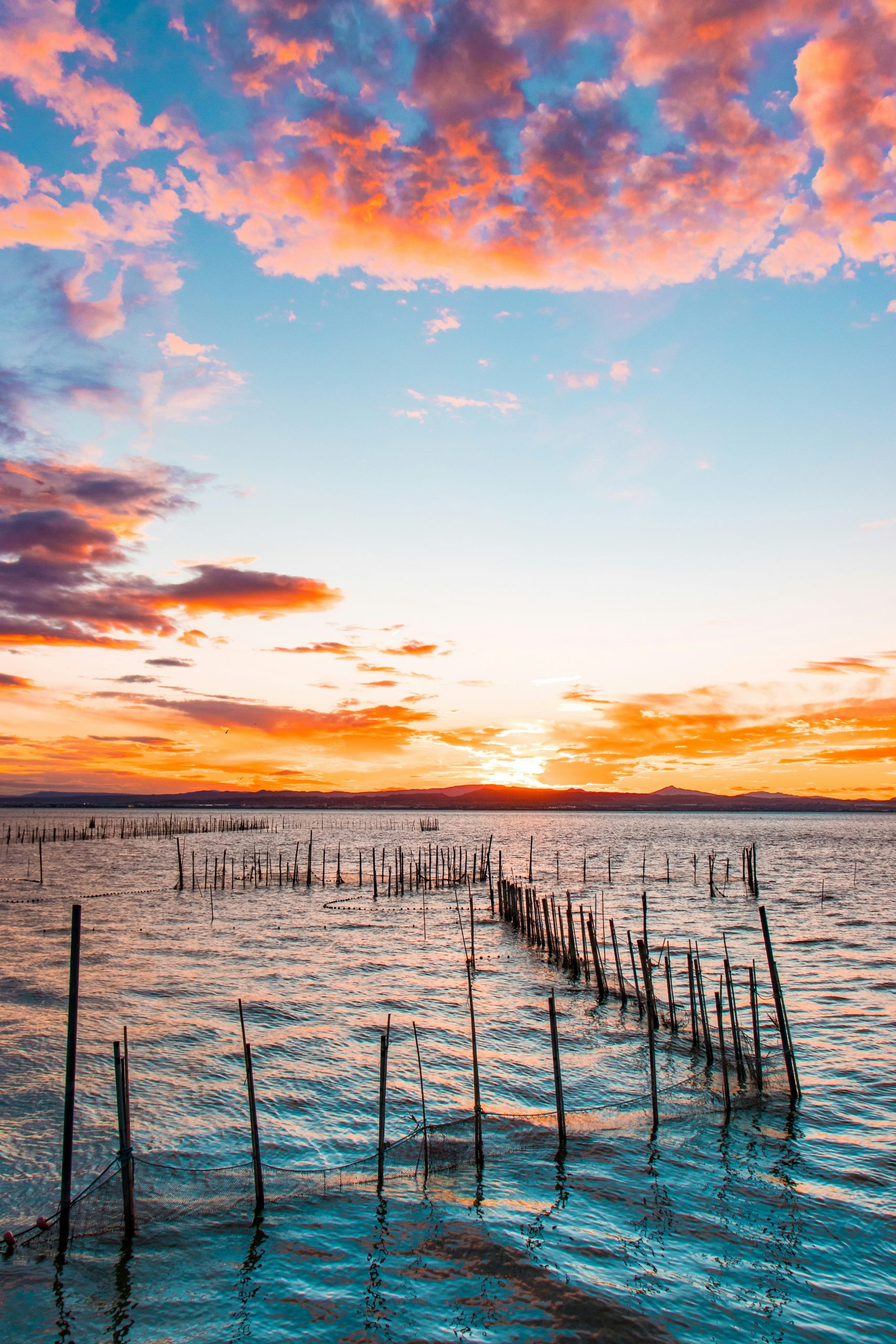 Albufera Valencia Albufera Valencia